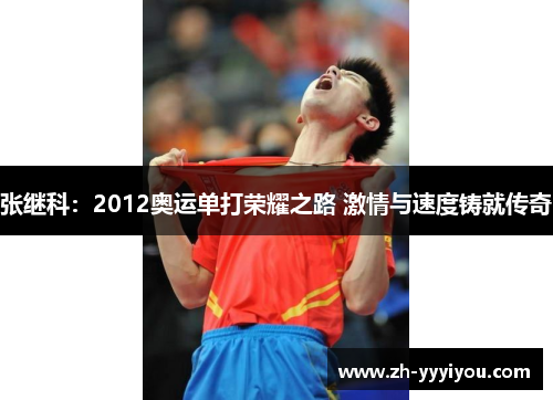 张继科：2012奥运单打荣耀之路 激情与速度铸就传奇