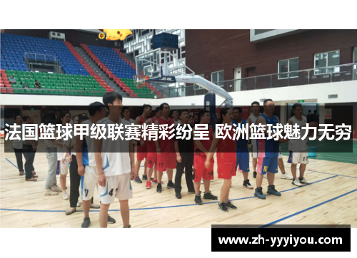 法国篮球甲级联赛精彩纷呈 欧洲篮球魅力无穷